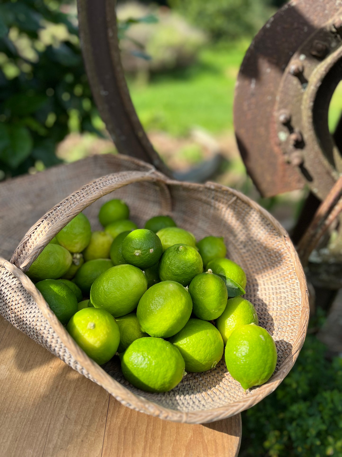 Tahitian Lime Hydrosol 50ml
